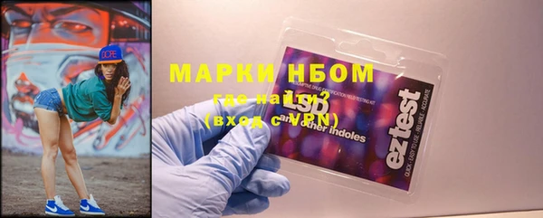 ГАЛЛЮЦИНОГЕННЫЕ ГРИБЫ Алзамай