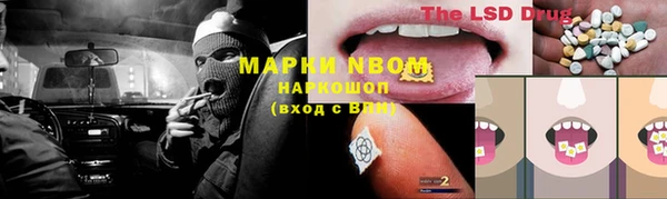 ГАЛЛЮЦИНОГЕННЫЕ ГРИБЫ Алзамай
