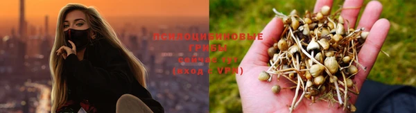 ГАЛЛЮЦИНОГЕННЫЕ ГРИБЫ Алзамай