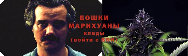 ГАЛЛЮЦИНОГЕННЫЕ ГРИБЫ Алзамай