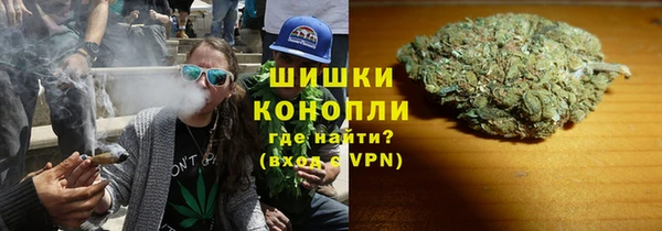 ГАЛЛЮЦИНОГЕННЫЕ ГРИБЫ Алзамай