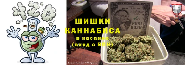 ГАЛЛЮЦИНОГЕННЫЕ ГРИБЫ Алзамай