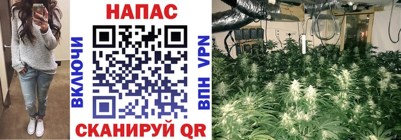 купить  сайты  Кукмор  Марихуана сатива 